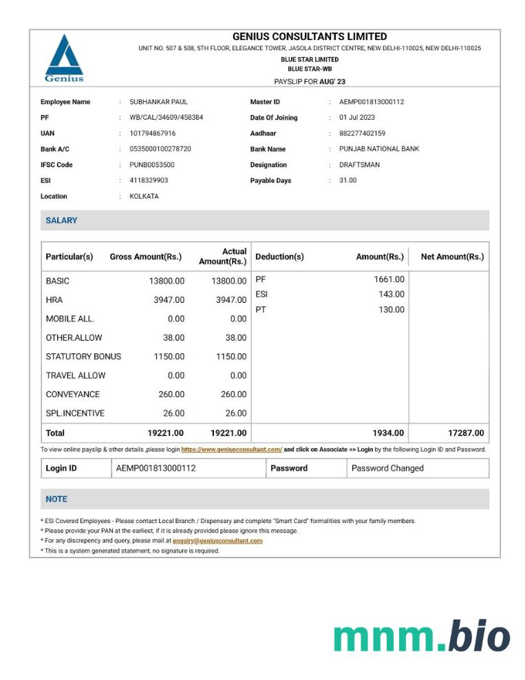 Szablon odcinka wypłaty Genius Consultants w formatach Word i PDF